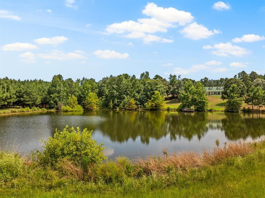 House in Daingerfield, Texas, United States 4 - 18769480