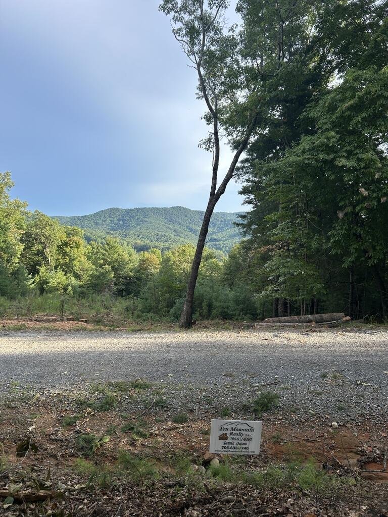 House in Morganton, Georgia, United States 4 - 17893555