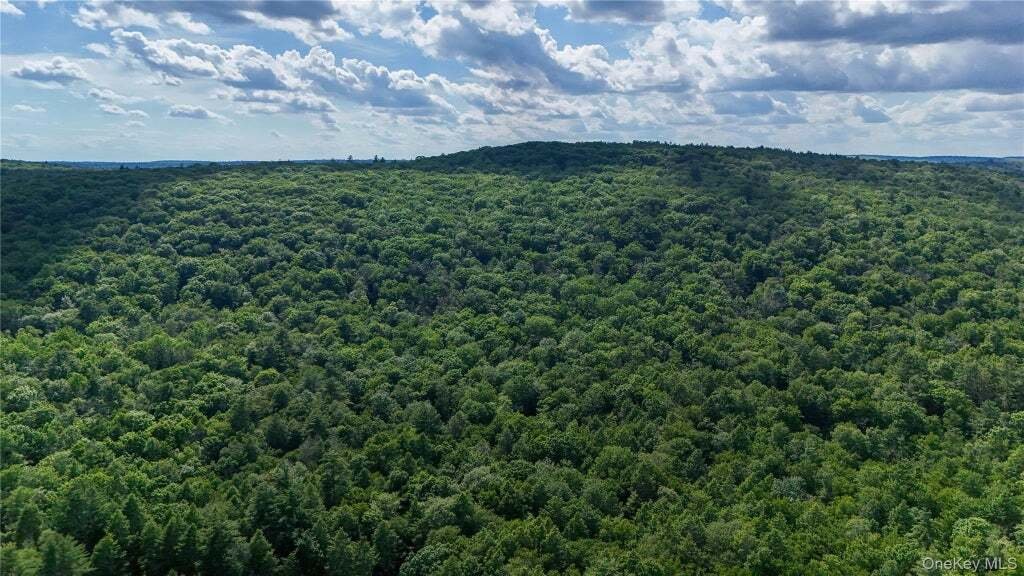 Terreno a Forestburgh, New York, Stati Uniti 3 - 18415745
