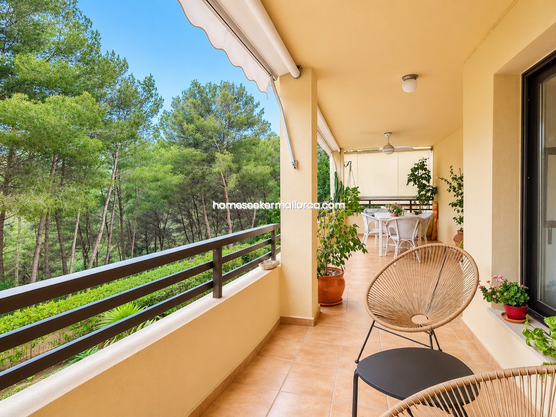 Apartment in Calvia, Balearic Islands, Spain 3 - 18769557