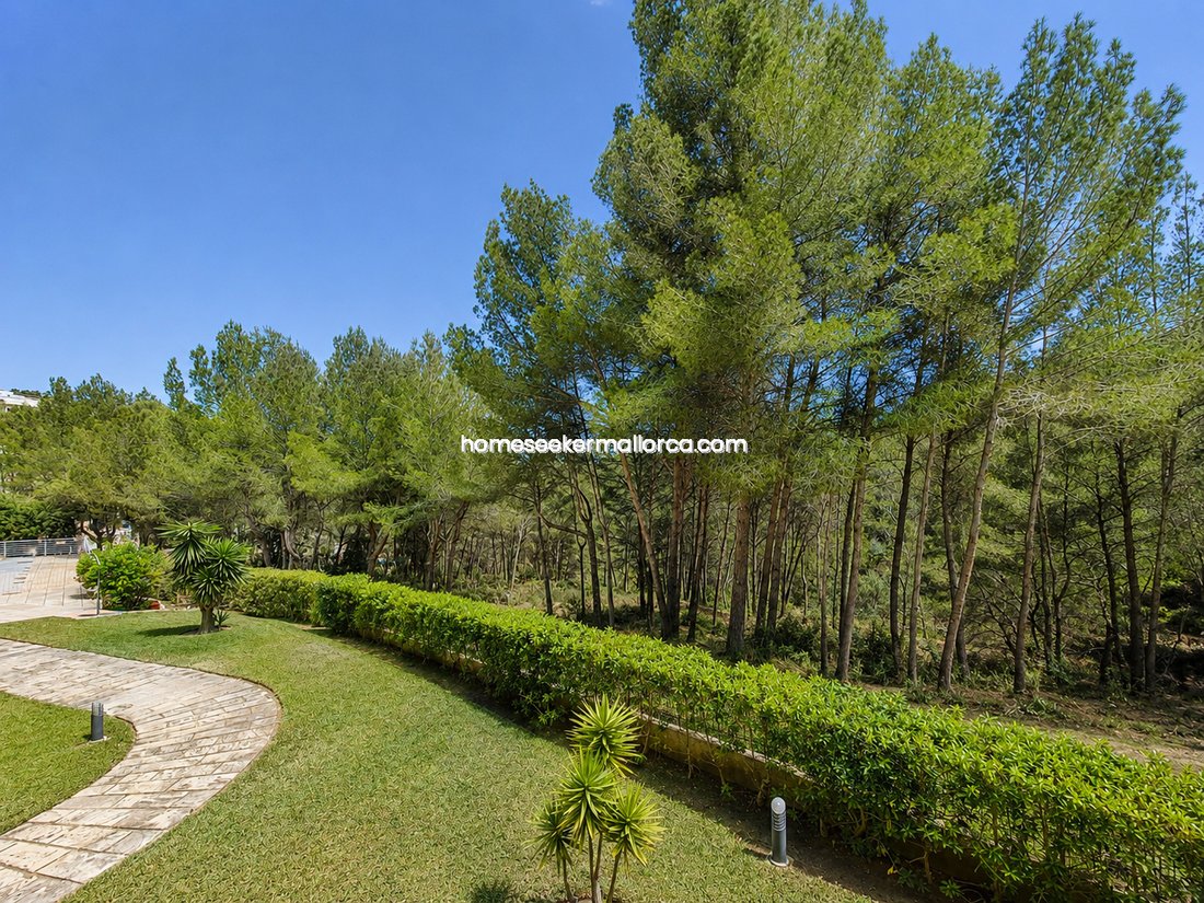 Apartment in Calvia, Balearic Islands, Spain 2 - 18769557