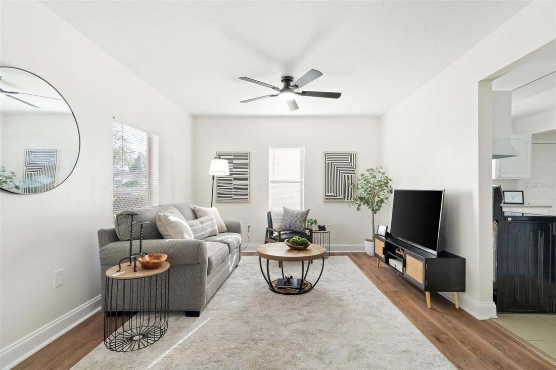 House in Tampa, Florida, United States 3 - 18768779