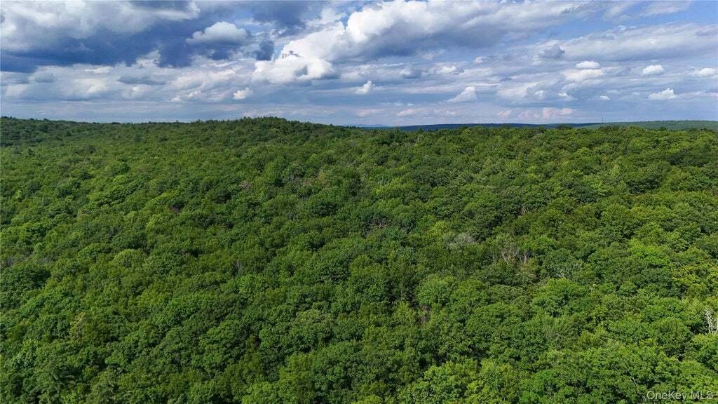 Terreno a Forestburgh, New York, Stati Uniti 2 - 18415745