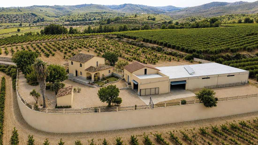 Landhaus in la Bisbal del Penedès, Katalonien, Spanien 3 - 18768964