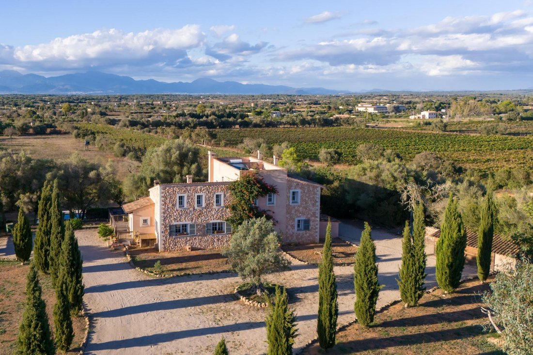 Landhaus in Algaida, Balearische Inseln, Spanien 1 - 18772533