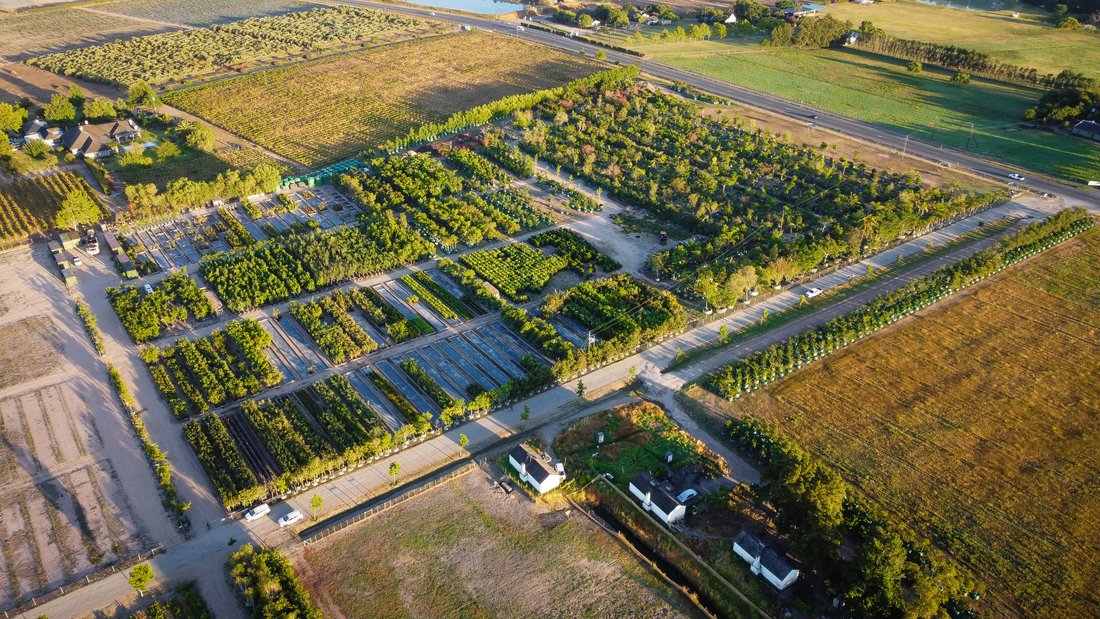 Terreno en Brackenfell Sur, Ciudad del Cabo, Sudáfrica 2 - 18770329