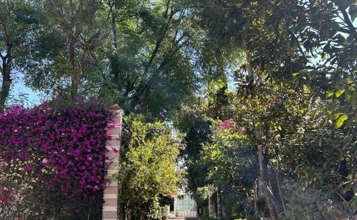 House in Mexico City, Mexico 1