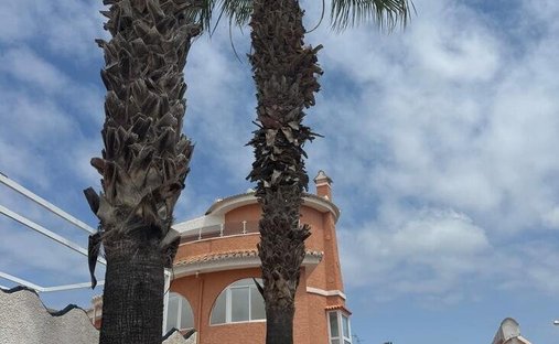 House in Almoradi, Valencian Community, Spain 1