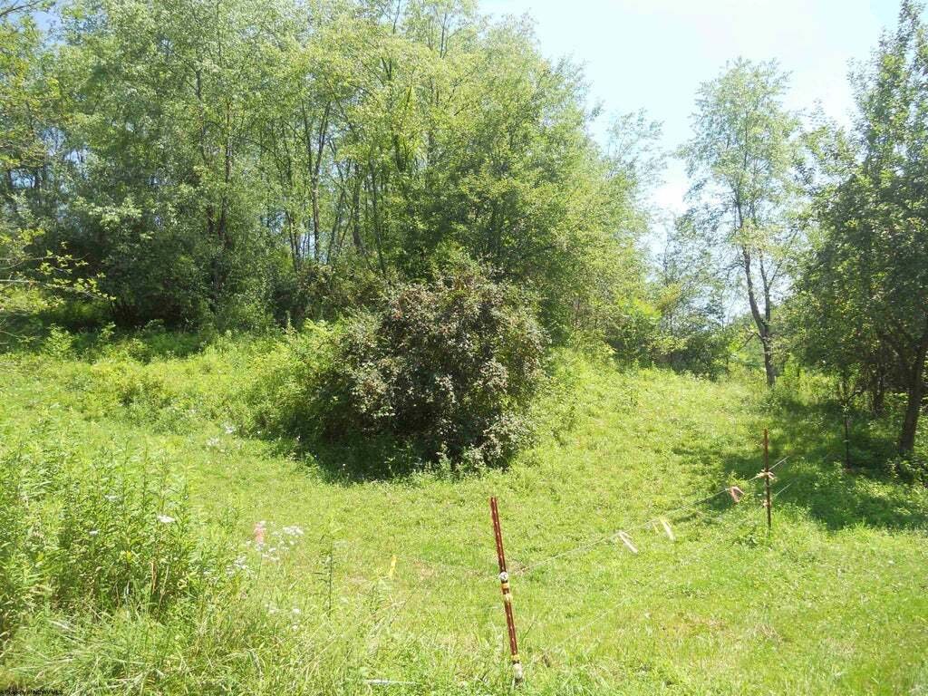 Terreno a Maidsville, Virginia Occidentale, Stati Uniti 3 - 18369664