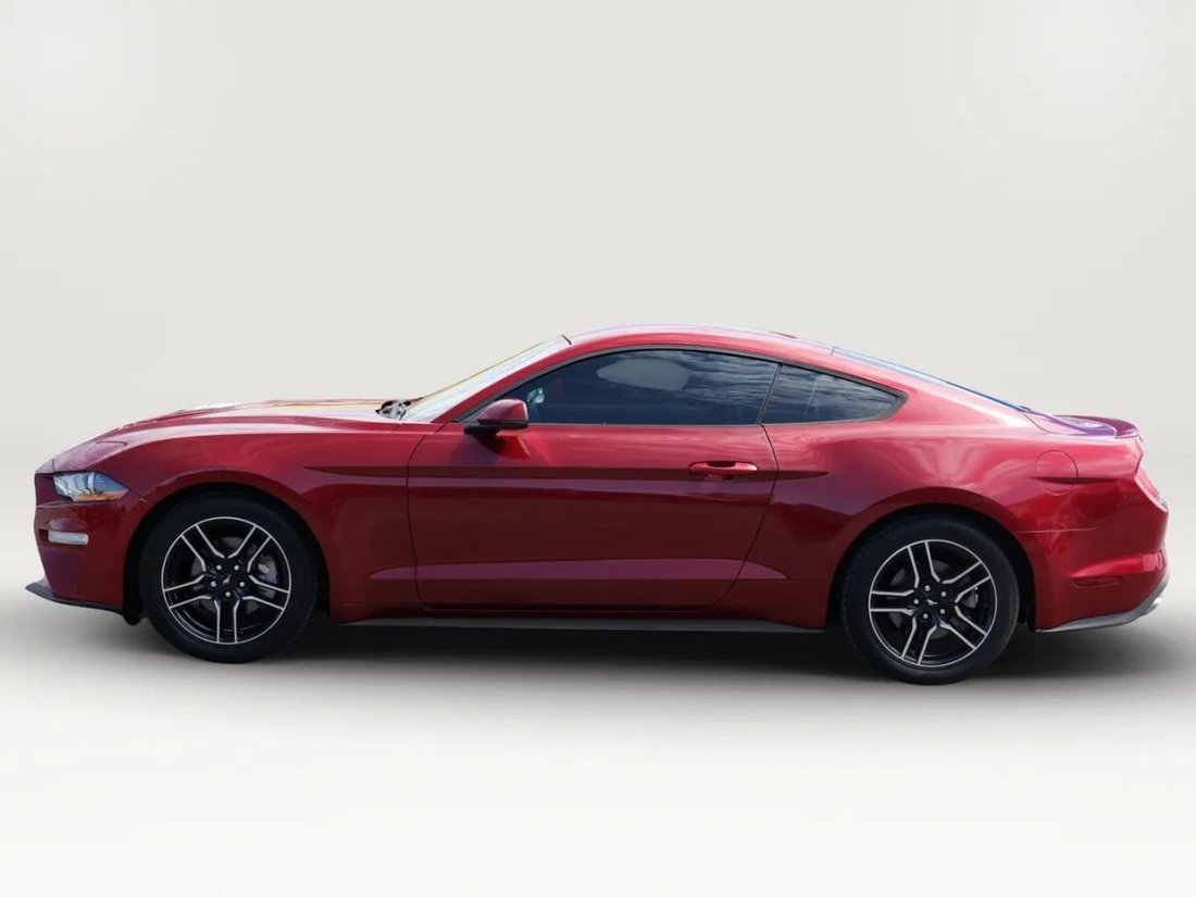 Coupe in El Paso, TX, United States 2 - 18773135