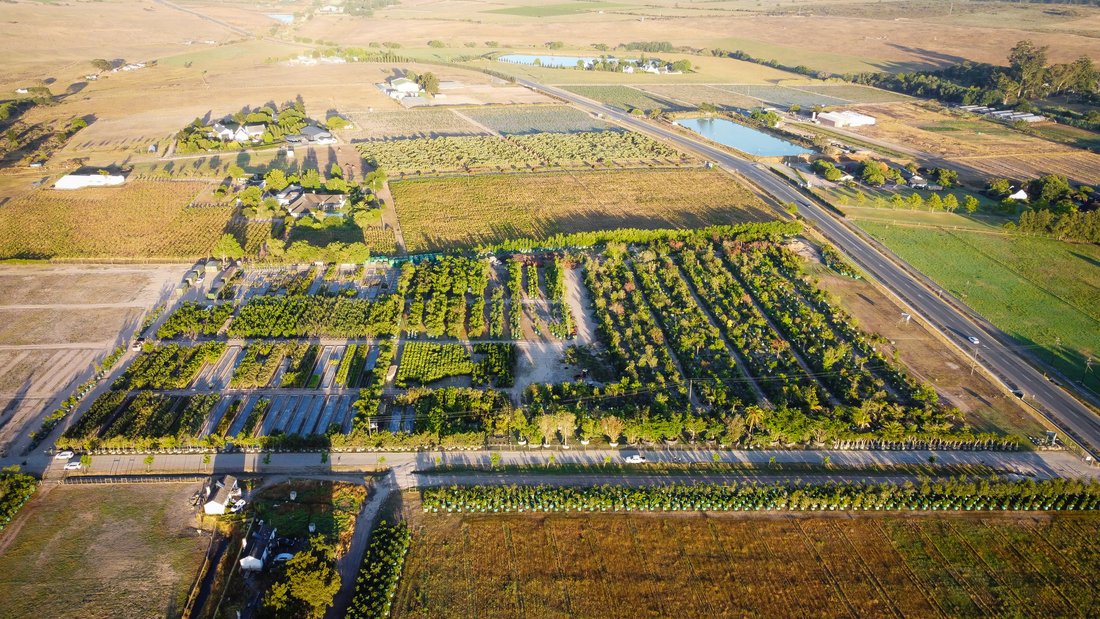 Terreno en Brackenfell Sur, Ciudad del Cabo, Sudáfrica 3 - 18770329