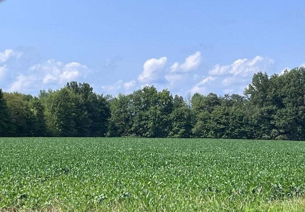 Land in Mount Orab, Ohio, Vereinigte Staaten 1 - 17636531