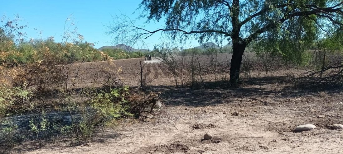 Land in Belmonte Residencial, Sonora, Mexiko 3 - 18328281