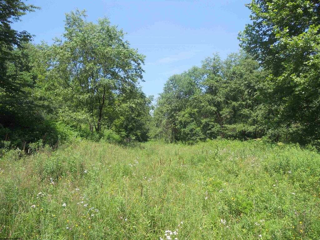 Terreno a Maidsville, Virginia Occidentale, Stati Uniti 5 - 18369664