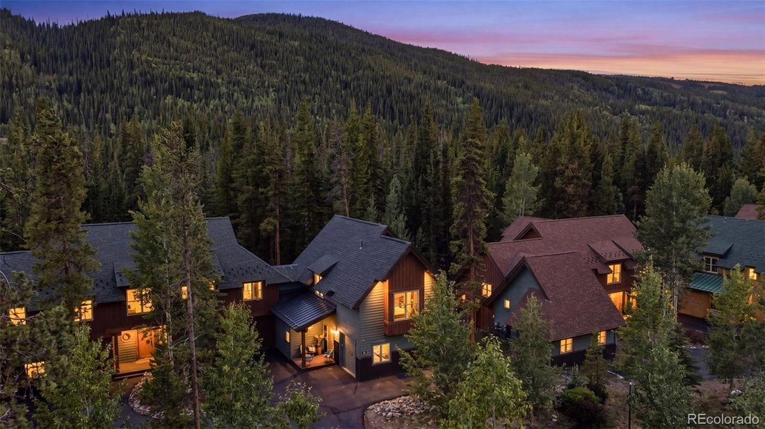 Stadthaus in Clear Creek County, Colorado, Vereinigte Staaten 1 - 18771109