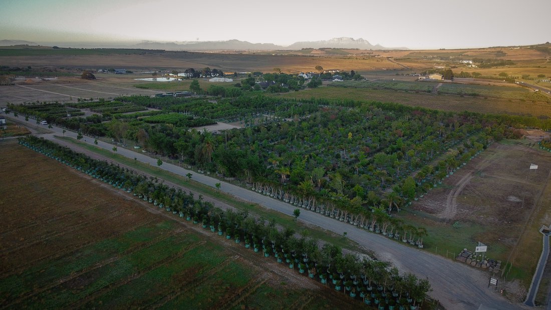 Terreno en Brackenfell Sur, Ciudad del Cabo, Sudáfrica 4 - 18770329