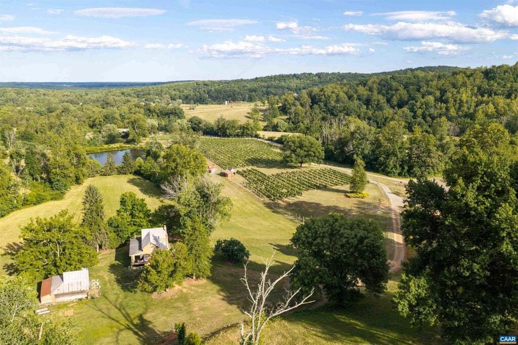 House in North Garden, Virginia, United States 5 - 18293298