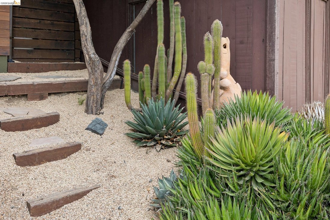 House in Albany, California, United States 4 - 18771355