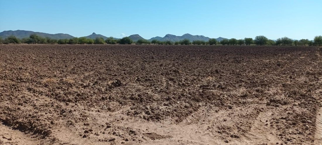 Land in Belmonte Residencial, Sonora, Mexiko 4 - 18328281