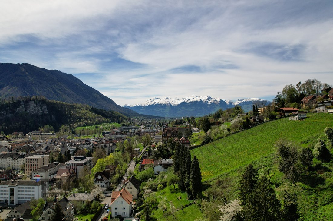 Terrain à Feldkirch, Vorarlberg, Autriche 4 - 18771582