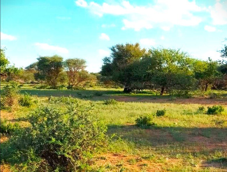 Corps de ferme à Municipalité locale de Siyancuma, Cap du Nord, Afrique du Sud 4 - 18770320