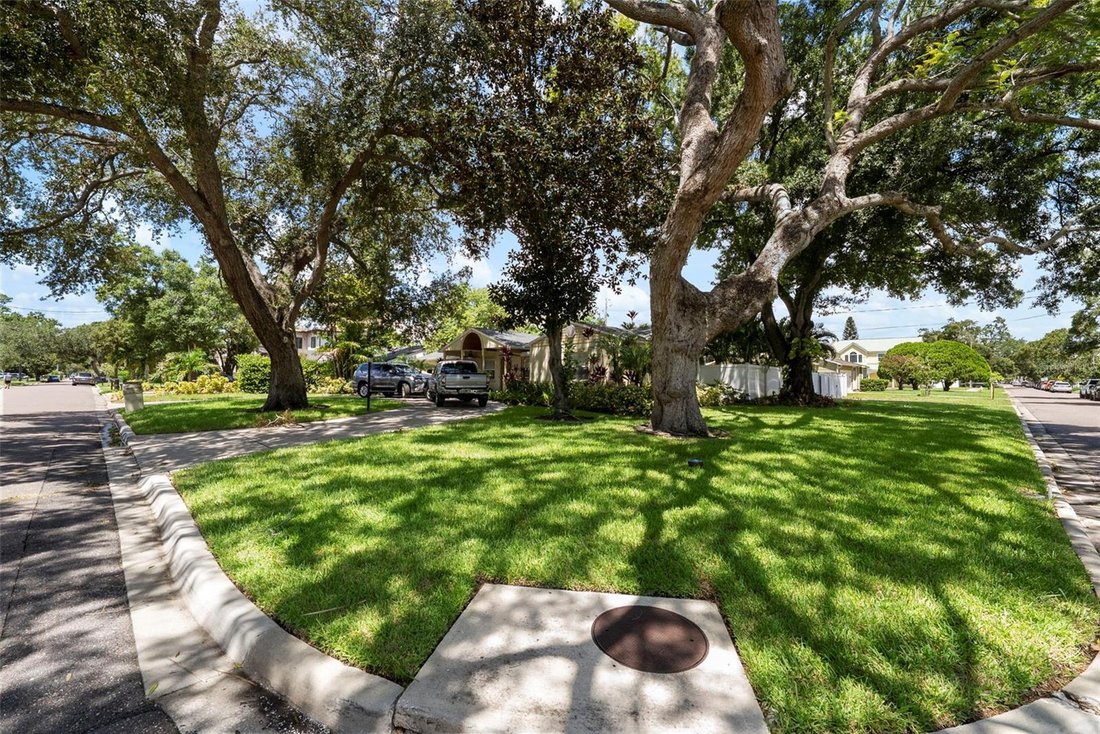 House in Tampa, Florida, United States 4 - 18768777