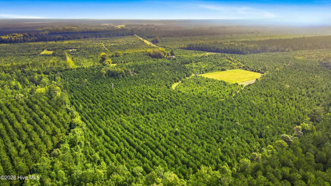 Land in Vanceboro, North Carolina, United States 1 - 18768622