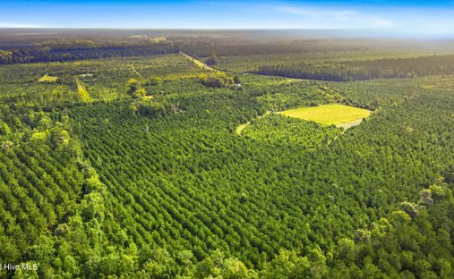 Terreno en Vanceboro, Carolina del Norte, Estados Unidos 1
