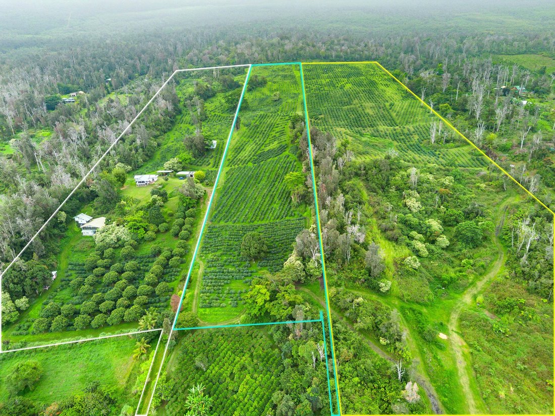 Farm Ranch in Captain Cook, Hawaii, Vereinigte Staaten 1 - 18770535