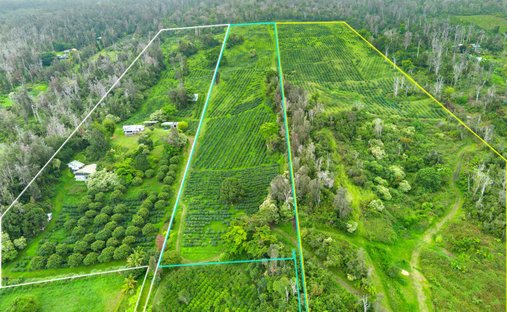 Farm Ranch in Captain Cook, Hawaii, Vereinigte Staaten 1