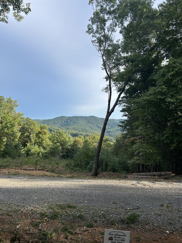 House in Morganton, Georgia, United States 2 - 17893555