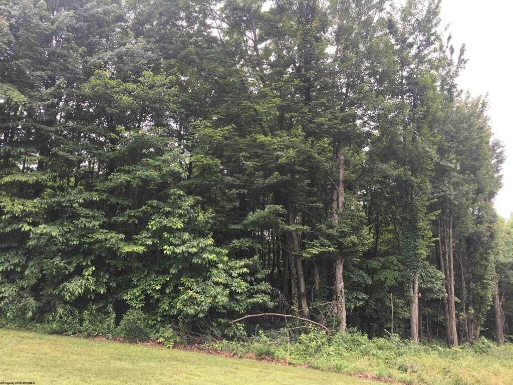 Terrain à Brookhaven, West Virginia, Virginie-Occidentale, États-Unis 5 - 18369678