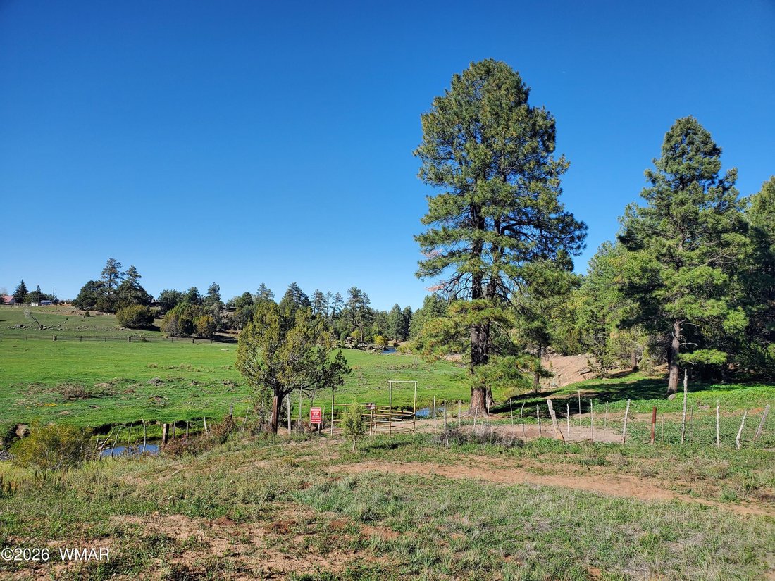 Azienda agricola a Show Low, Arizona, Stati Uniti 5 - 18770556