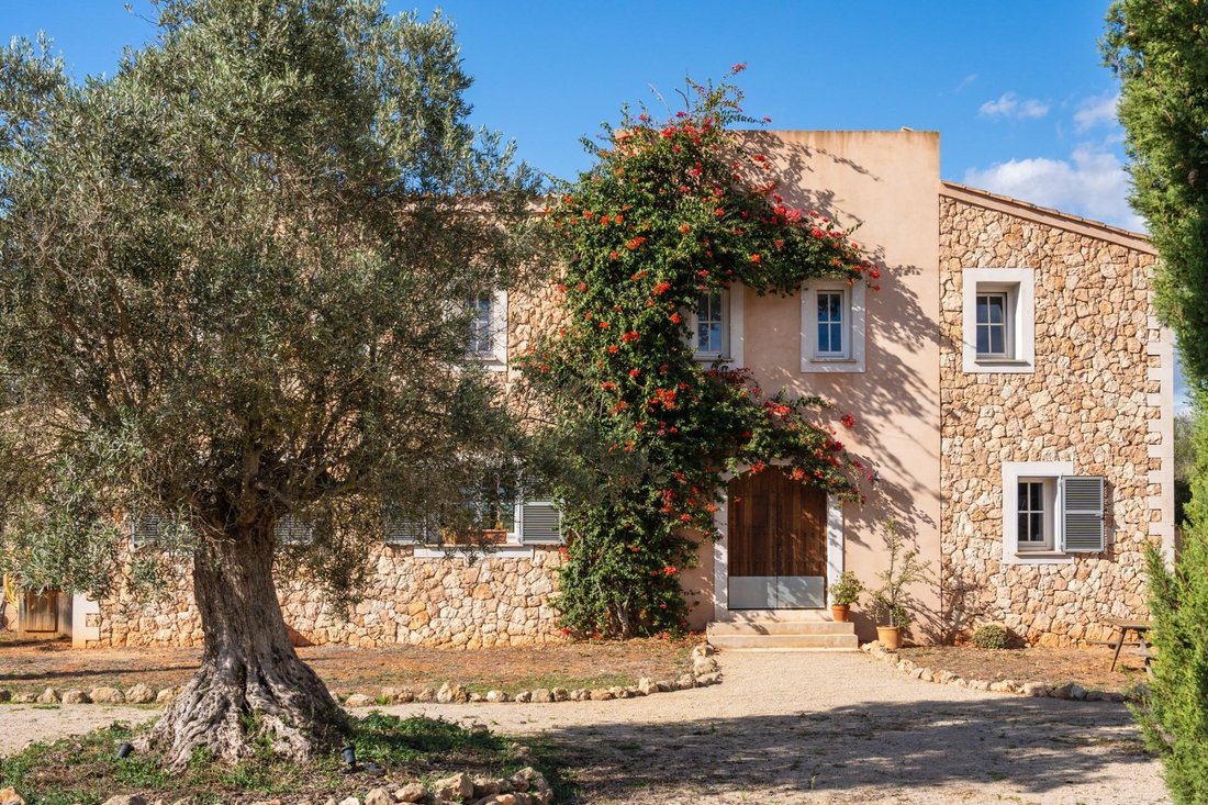 Landhaus in Algaida, Balearische Inseln, Spanien 3 - 18772533