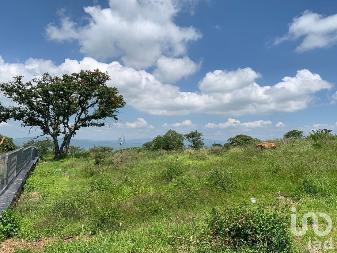 Land in Tepatitlán de Morelos, Jalisco, Mexico 2 - 18769429