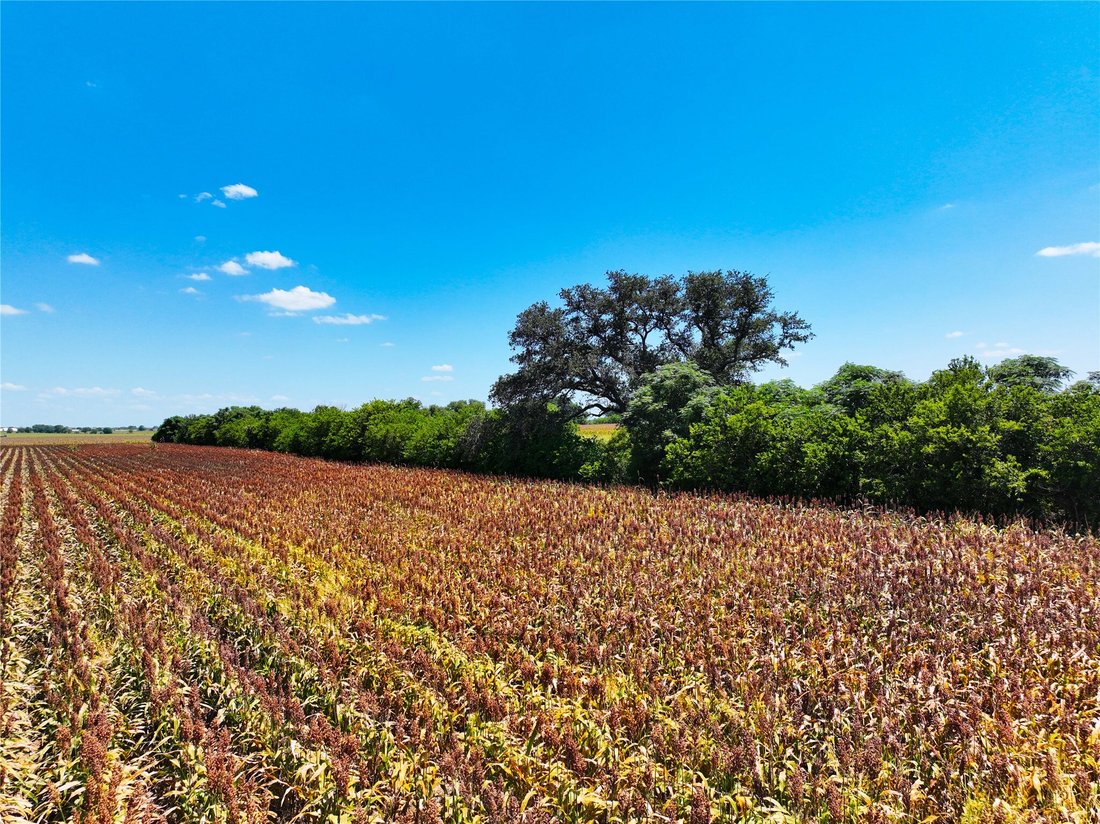 Terreno en Martindale, Texas, Estados Unidos 4 - 18768665