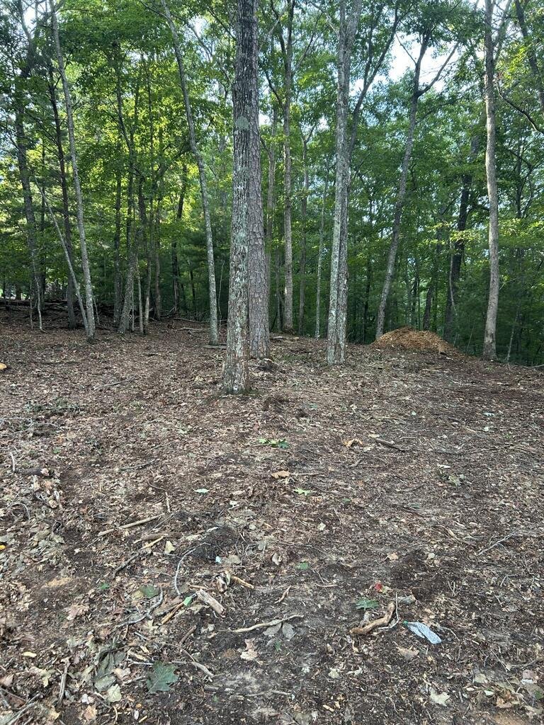 House in Morganton, Georgia, United States 5 - 17893555