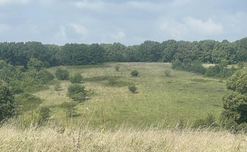Land in Cole Camp, Missouri, United States 1