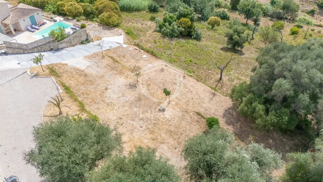 Terrain à Mougins, Provence-Alpes-Côte d'Azur, France 4 - 18769724