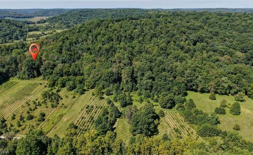 Casa a Gann, Ohio, Stati Uniti 1