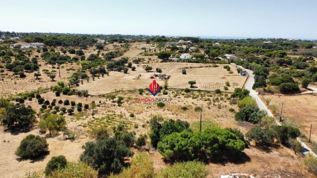 Andere in Lagoa und Carvoeiro, Algarve, Portugal 5 - 18774052