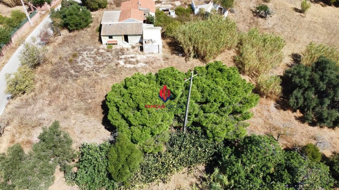 Andere in Lagoa und Carvoeiro, Algarve, Portugal 2 - 18774052