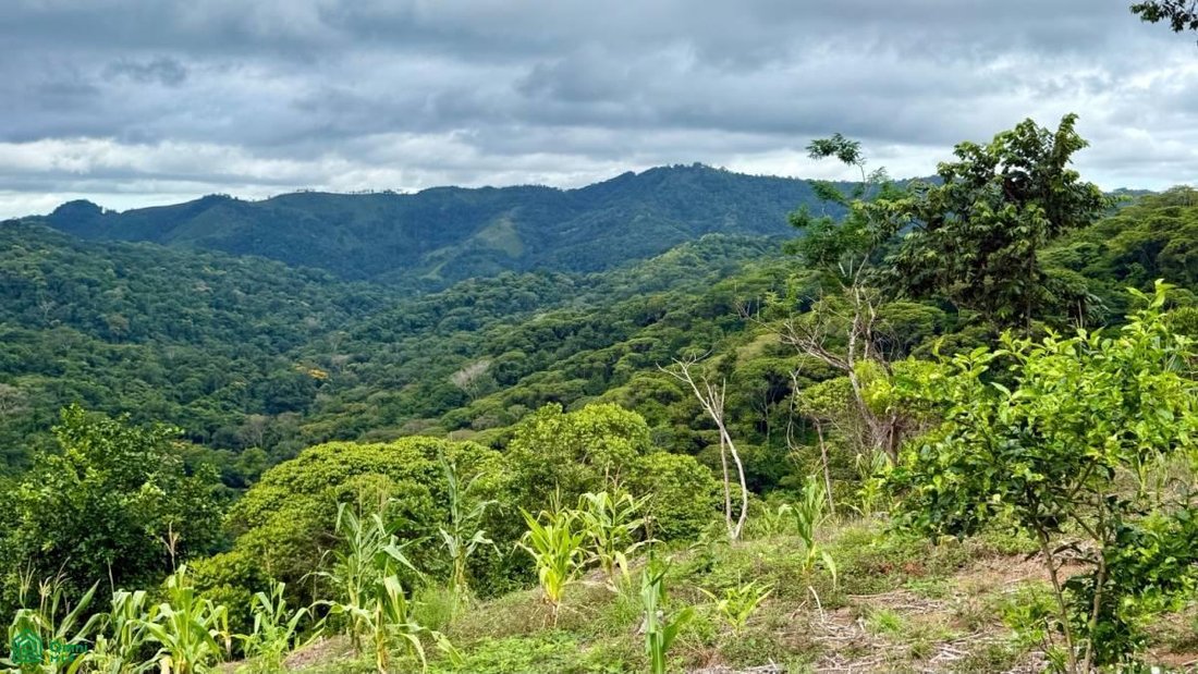Terreno in Cantone di Puriscal, Costa Rica 2 - 18579133