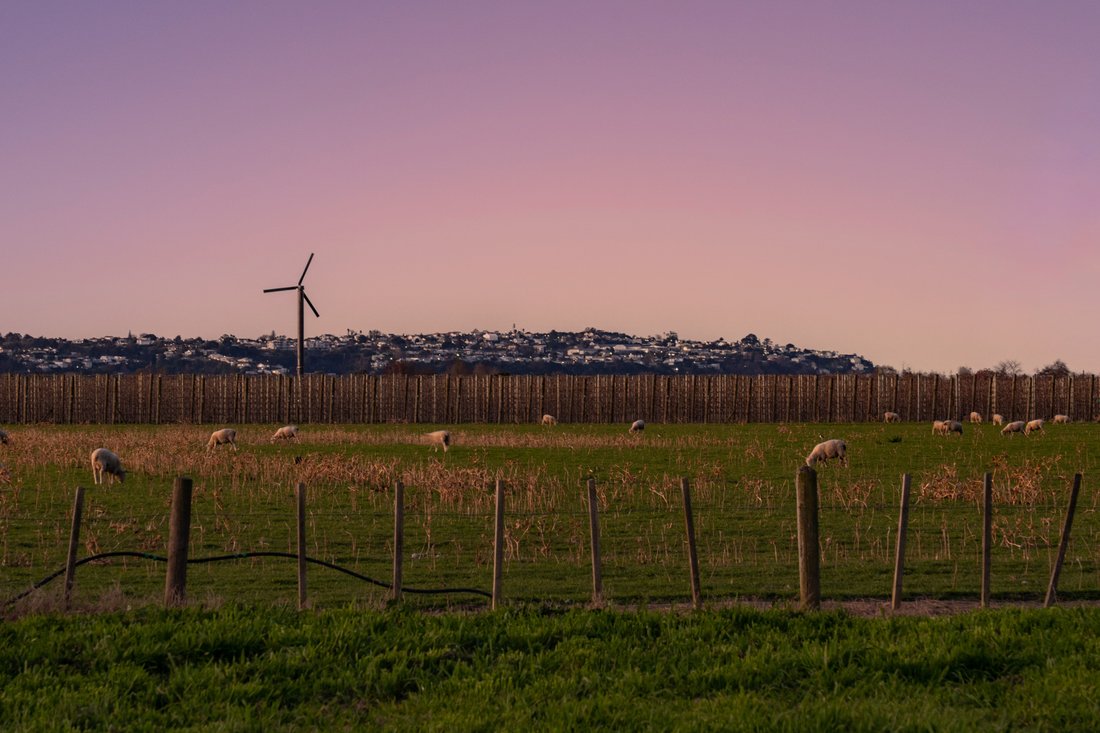 Land in Napier, Hawke's Bay, New Zealand 1 - 18774348