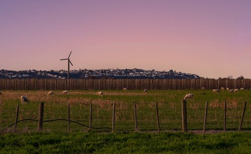 Terreno en Napier, Hawke's Bay, Nueva Zelanda 1