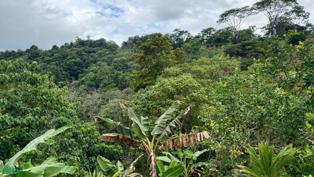 Terreno in Cantone di Puriscal, Costa Rica 3 - 18579133