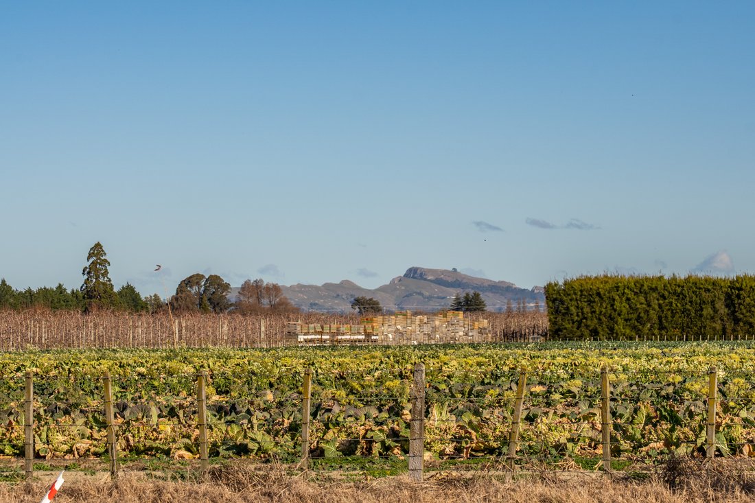 Land in Napier, Hawke's Bay, New Zealand 1 - 18774370