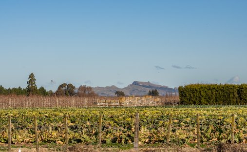 Terreno en Napier, Hawke's Bay, Nueva Zelanda 1