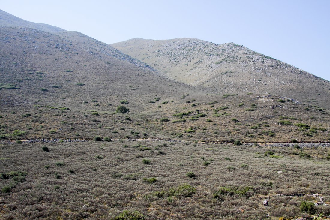 Land in Oitylos, Peloponnese, Western Greece and the Ionian, Griechenland 4 - 18775047