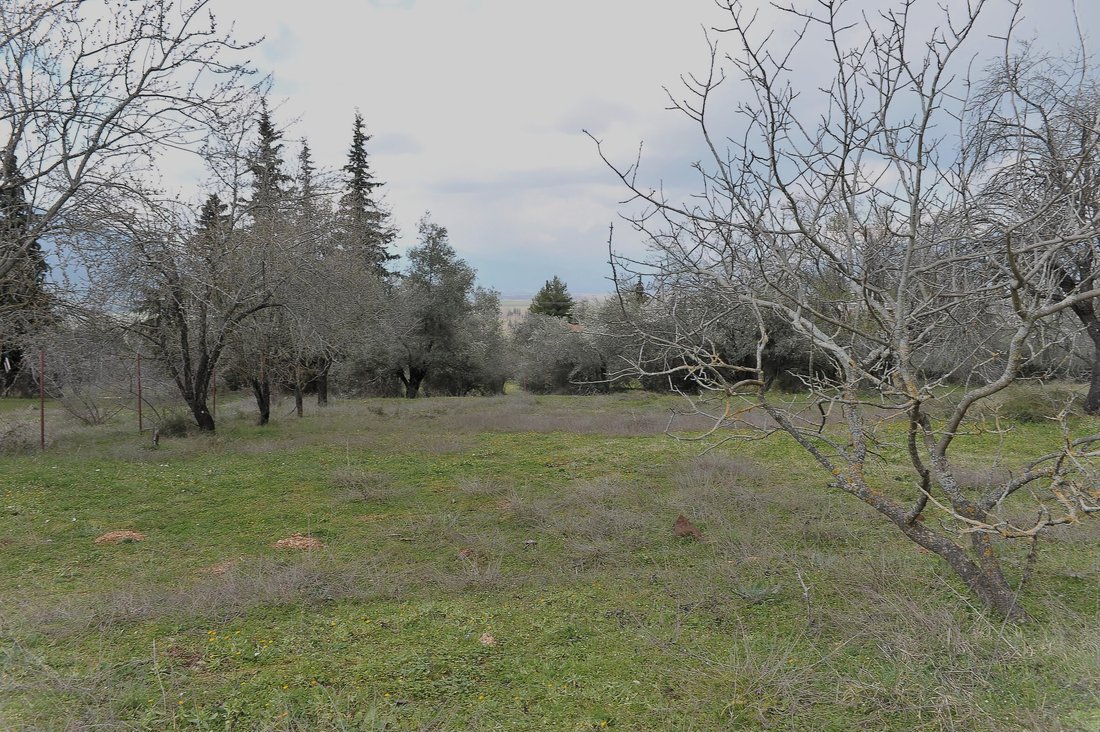 Terreno en Loutron Hraias, Iraia, Peloponnese, Western Greece and the Ionian 3 - 18774866